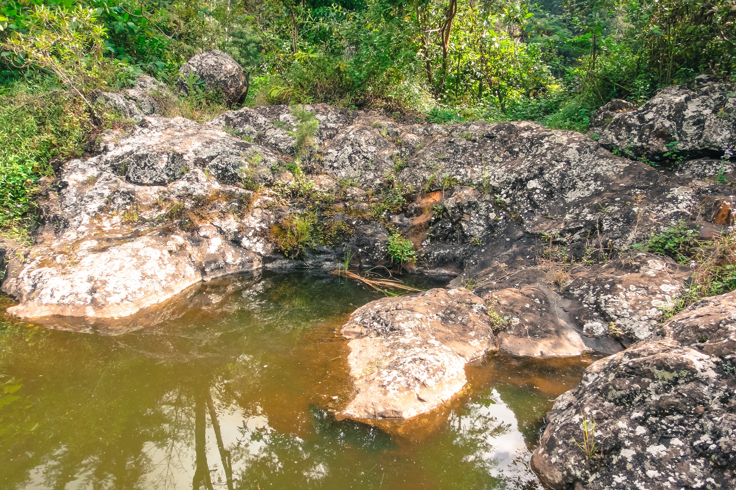 marangu (2).webp